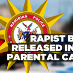 Rapist boy released into parental care