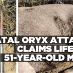 Fatal oryx attack claims life of 51-year-old man