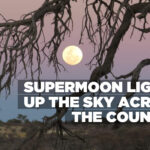 Supermoon lights up the sky across the country