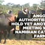 Angolan authorities to hold yet another meeting with Namibian cattle farmers