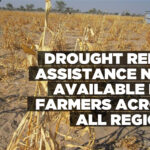 Drought relief assistance now available for farmers across all regions