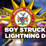 Boy struck by lightning dies