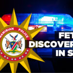 Fetus discovered in skip