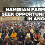 Namibian farmers seek opportunities in Angola