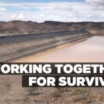 Working together for survival