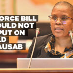 Divorce Bill should not be put on hold – Dausab