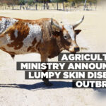 Agriculture Ministry announces Lumpy Skin Disease outbreak