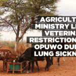 Agriculture Ministry lifts veterinary restrictions in Opuwo due to lung sickness