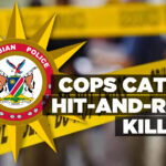Cops catch hit-and-run killer