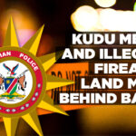 Kudu meat and illegal firearm land man behind bars