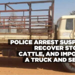 Police arrest suspect, recover stolen cattle, and impound a truck and sedan