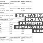 Shifeta shares increase in payments for human-wildlife damage