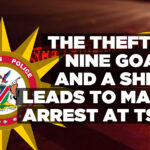 The theft of nine goats and a sheep leads to man’s arrest at Tses