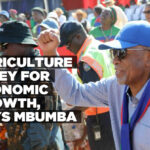 Agriculture is key for economic growth, says Mbumba