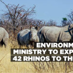 Environment Ministry to Export 42 Rhinos to the US