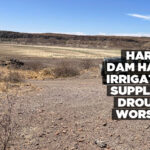 Hardap Dam halts irrigation supply as drought worsens