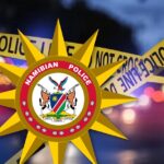 Twelve arrested in Karasburg following gang fight