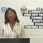 Cabinet sets one-off 140,000 tonne hake quota for 2024-2025 fishing season