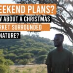 Elisenheim Village Estate: A Festive Christmas Market and Fun Run Event