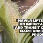 MAWLR lifts ban on importation and transit of SA maize and palm products