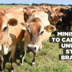 Ministry to cancel unused stock brands