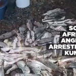 South African anglers arrested in Kunene