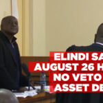 No consent needed for sale of assets by Enercon – Elindi