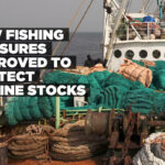 Cabinet approves new measures for sustainable fishing
