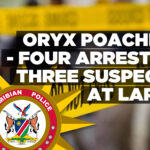 Four suspects arrested for illegal hunting, three others on the run