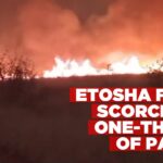At least 34% of Etosha National Park burns