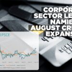 Corporate borrowing drives modest uptick in Namibian private sector credit growth in August