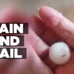 RAIN AND HAIL