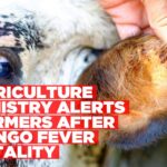 Agriculture Ministry urges stricter livestock tick control following Crimean-Congo Fever case