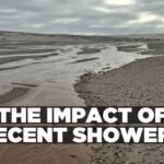 THE IMPACT OF RECENT SHOWERS