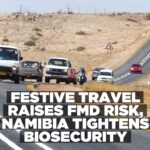 Namibia urges travellers to tighten biosecurity as FMD risks rise ahead of festive season