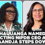 Search for new NIPDB CEO to begin next year as Uaandja steps down