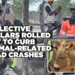 Transport Ministry launches reflective animal collars to reduce road crashes