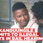 Nakanduungile makes significant admissions under cross-examination
