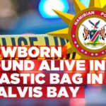 Newborn baby girl discovered alive in plastic bag