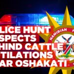Unknown suspects hack and mutilate cattle near Oshakati