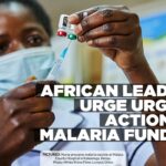 AU heads call for sustainable financing as malaria threat looms