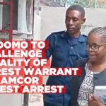 Amoomo to challenge legality of arrest warrant in Namcor latest arrest