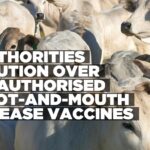 Namibia safeguards foot-and-mouth disease free zone to protect markets