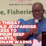 FMD threat could jeopardise access to premium beef markets, Kwenani warns