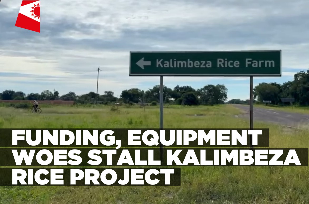 Kalimbeza Rice Kalimbeza Rice Project hampered by funding gaps and broken equipment ...
