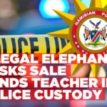 Teacher arrested in Oshakati for sale of tusks