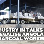 Charcoal industry seeks solution for Angolan workers under immigration amnesty