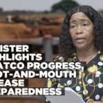 Meatco progresses amid focus on FMD prevention and market expansion – Minister Zaamwani