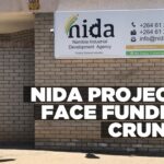 Financial strain threatens NIDA projects