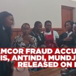 Namcor fraud accused Boois, Antindi, Mundjego released on bail
